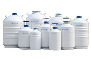 定制储存型液氮罐