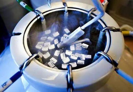 细胞冻存 细胞冻存