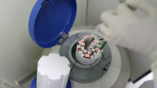 液氮罐冻存细胞 液氮罐冻存细胞